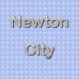 NewtonCity-1000x1000